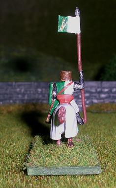 GreenKnightBack.JPG