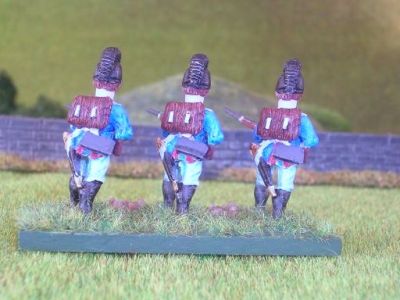 Bav7b.jpg