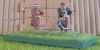 DSCN7940.JPG