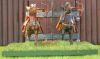 DSCN8538.JPG