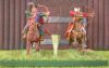 DSCN8651.JPG
