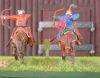 DSCN8663.JPG