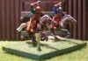 DSCN9078.JPG