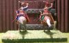 DSCN9079.JPG
