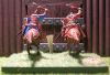 DSCN9083.JPG